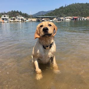 Meet your Posher, Cory